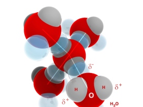 Hydrogen bounds between water molecules