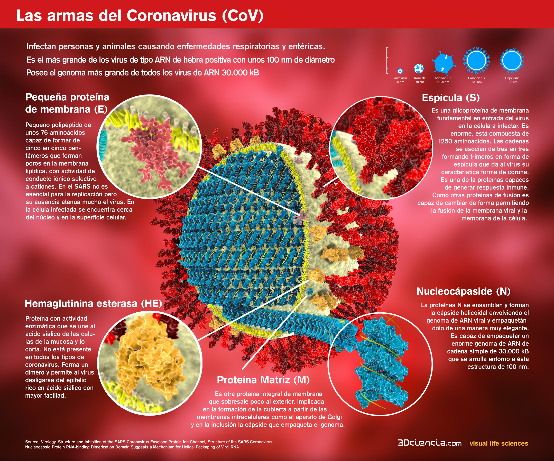 Resultado de imagem para SARS coronavirus
