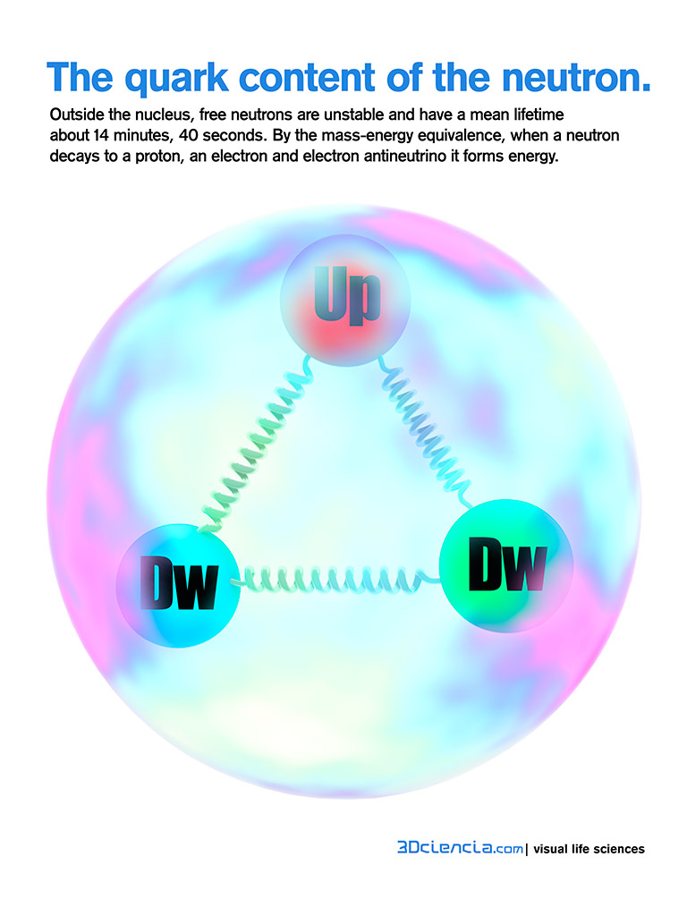 El neutrón está formado por dos quarks Down y uno Up. The quark content of the neutron. 